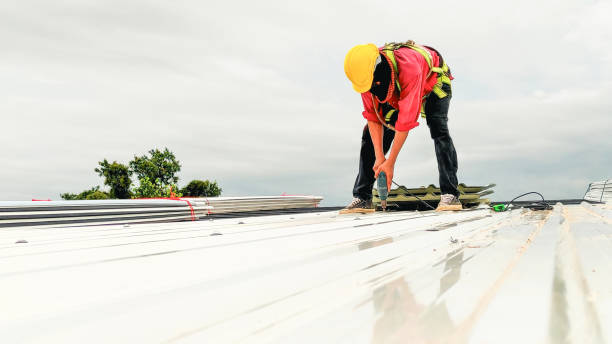 Best Green or Eco-Friendly Roofing Solutions  in Milam, TX